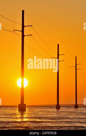 Elektrische Überlandleitungen über dem Atlantik, Silhouetted, während Golden Sunset, neben 7 Mile Bridge (Route 1), Marathon Key, Florida, USA Stockfoto