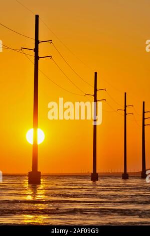 Elektrische Überlandleitungen über dem Atlantik, Silhouetted, während Golden Sunset, neben 7 Mile Bridge (Route 1), Marathon Key, Florida, USA Stockfoto