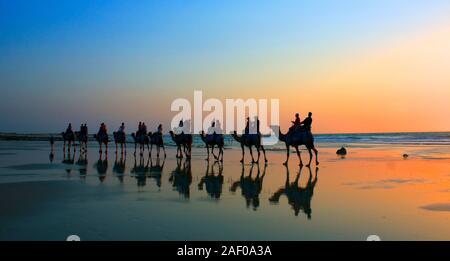 Kamel Zug Cable Beach Broome Western Australia Stockfoto