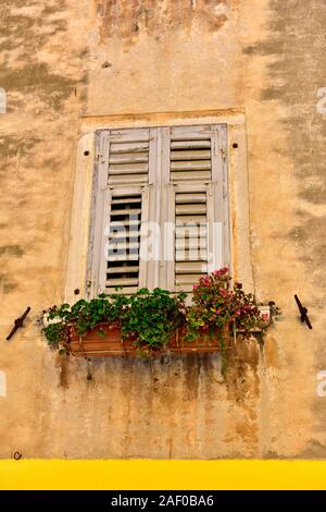 Alte Fenster mit geschlossenen Fensterläden und roten Blumen in Blüte, historischen Stadt Rovinj, Istrien, Kroatien Stockfoto