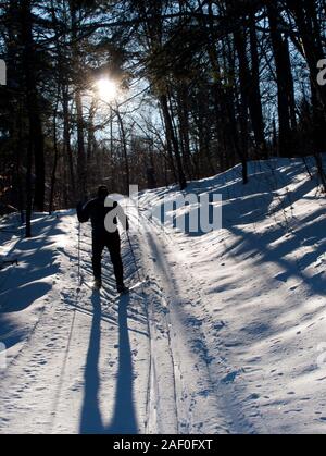 Silhouetted Skifahrer Skifahren in Richtung der Sonne auf einer Nordic Trail im Algonquin Park Stockfoto