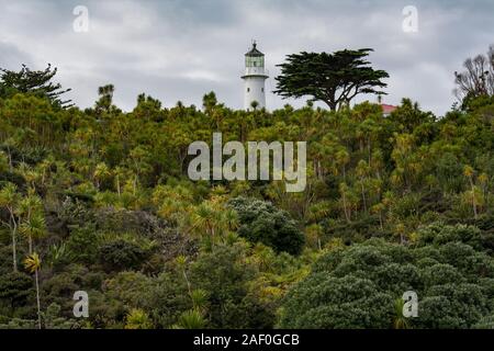 Tiritiri Matangi, älteste Leuchtturm Neuseelands Neuseeland immer noch in Betrieb, aus Gusseisen weiß lackiert. Sitzung oben Grove Native Bush, Cabbage Tree Stockfoto