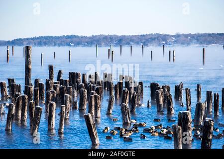 Pilings inmitten seasmoke an einem kalten Morgen Stockfoto