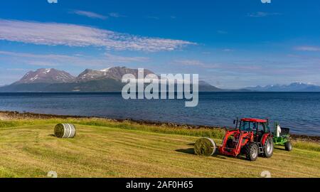 BAKKEJORD, INSEL KVALØYA, Troms, Norwegen - Bauern und landwirtschaftlichen Traktor mit Rundballen Heu, auf Straumsfjorden Fjord. Stockfoto