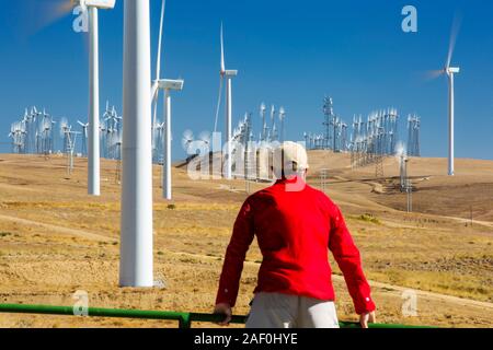 Bestandteil der Tehachapi Pass Wind farm, das erste groß angelegte Wind Farmgebiet entwickelt in den USA, California, USA. Stockfoto