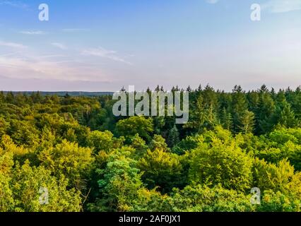 Wunderschöne Skyline der Berg en Bos City Park in Apeldoorn, Niederlande, Niederländische wald landschaft Stockfoto