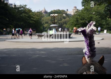 Pferd und mit der Kutsche durch den Central Park