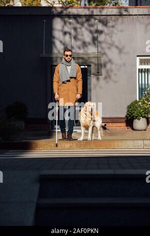 Blinden Mann mit Hund und Spazierstock überfahrt-Straße an die Straße Stockfoto