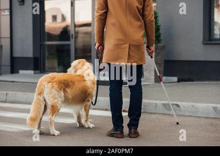 7/8-Ansicht von Mann mit Stock und Hund stand neben Zebrastreifen Stockfoto