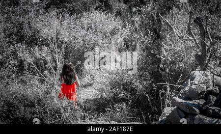 Mädchen im roten Kleid stehen im Feld von Pflanzen und Felsen umgeben Stockfoto