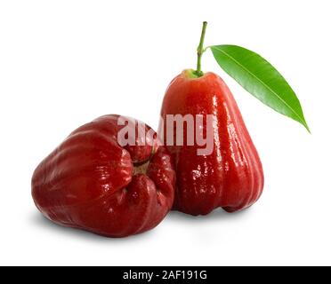 Rose Äpfel oder chomphu auf Weiß mit Freistellungspfad isoliert Stockfoto