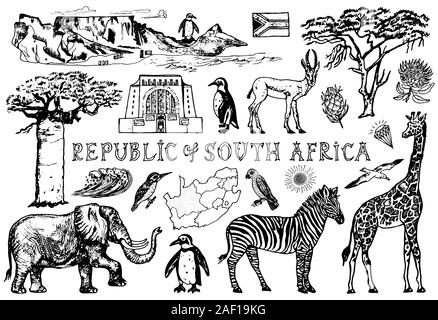 Afrika doodle Vintage eingestellt. Wilde Tiere in Safari auf weißem Hintergrund. Giraffen und Zebras, Karte und Vögel. Hand gezeichnete Skizze. Stock Vektor