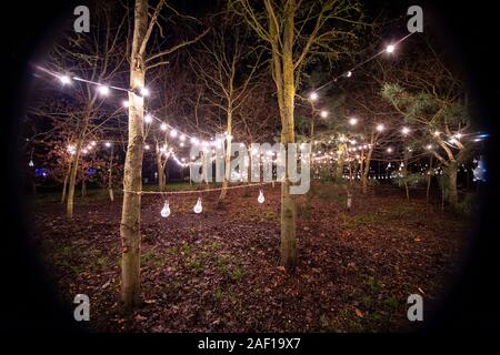Staffordshire, Großbritannien. 11. Dezember 2019. Die National Memorial Arboretum hosts ihren zweiten jährlichen' beleuchtet Arboretum' Ereignis. Die Licht und Sound Event Highlights und zeigt viele der militärischen und service Gedenkstätten über das Arboretum. Credit: Benjamin Wareing/Alamy leben Nachrichten Stockfoto