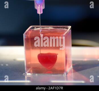 Tel Aviv, Israel. 12 Dez, 2019. Ein 3D-Drucker druckt, was Israelische Wissenschaftler Professor Tal Dvir sagt, ist das weltweit erste 3D-engineered Herzen gedruckt Vaskularisierten, in einem Labor in der Universität von Tel Aviv, Tel Aviv, Israel, 15. April 2019. Tel Aviv University Wissenschaftler die Verwendung menschlicher Gewebe und Zellen des Patienten und Materialien, die ein 3D-ganzen Herzen mit Zellen, Blutgefäße, Vorhöfe und Kammern zu drucken. Foto von Debbie Hill/UPI Quelle: UPI/Alamy leben Nachrichten Stockfoto