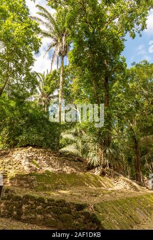 Orange Walk, Belize - November, 16, 2019. Ball Court in Lamanai archäologische Reserve, wo Maya Leute eine Maya Ball Spiel gespielt. Stockfoto