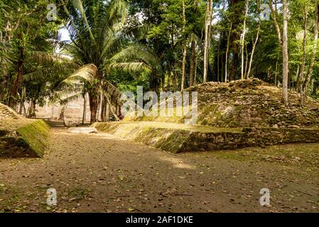 Orange Walk, Belize - November, 16, 2019. Ball Court in Lamanai archäologische Reserve, wo Maya Leute eine Maya Ball Spiel gespielt. Stockfoto