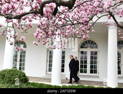Washington, United States. 12 Dez, 2019. Magnolia Blüte Blüte als Präsident Donald Trump (R) geht mit dem israelischen Ministerpräsidenten Benjamin Netanjahu entlang der Kolonnade im Oval Office des Weißen Hauses in Washington, DC am 25. März 2019. Die Staats- und Regierungschefs unterzeichneten ein Abkommen über die Golanhöhen, die Anerkennung als israelisches Territorium, während einem Tag besuchen. Foto von Pat Benic/UPI Quelle: UPI/Alamy leben Nachrichten Stockfoto