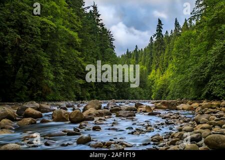 Pinien und bewölkter Himmel in dem kristallklaren Wasser eines Sees reflektieren an einem bewölkten Tag in Lynn Canyon Park Wald in Vancouver, Kanada Stockfoto