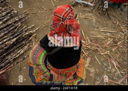 BAC ha, Lao Cai, Vietnam - 27. März 2011: Hmong Ethnicity Woman in traditionellem Kleid auswählen Zuckerrohrstöcke am Bac ha Street Market - Rückansicht Stockfoto