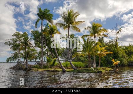 Laguna La Redonda, Moron, Ciego de Avila, Kuba, Nordamerika Stockfoto