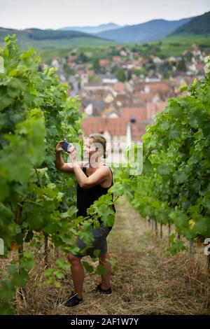 Frau fotografieren Weinberg Stockfoto