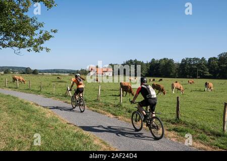 Radfahrer auf einem Radweg in Pont-l'Eveque (Normandie, Frankreich). Stockfoto