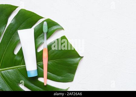 Zahnpasta und Zahnbürste auf Grün monstera Blatt über weißen Stein Oberfläche Hintergrund mit kopieren. Stockfoto