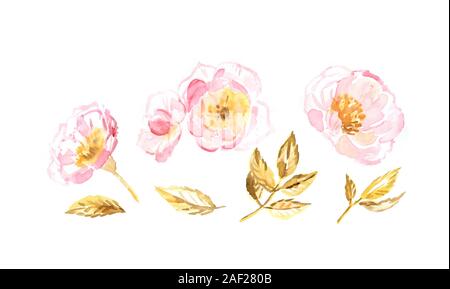 Aquarell Rose Skizze mit Blüten, Knospen und goldene Blätter. Botanic handgemalte Illustrationen. Eingestellt von isolierten Gestaltungselemente für Logo, Hochzeit Stockfoto