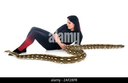 Netzpython vor weißem Hintergrund Stockfoto