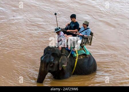 Chinesische Touristen gehen Sie auf Elefanten Trekking. Laos. Luang Prabang - 15. Januar 2019 Stockfoto