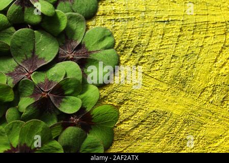 Das Bild zeigt Glücksklee Grenze auf Schwarz Gelb Holz- Hintergrund Stockfoto