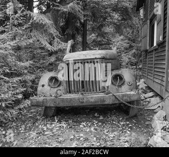 Überreste einer GAZ-51 - Gazon sowjetischen Gaz gebaut Lkw auf dem Gelände der unterirdischen Stadt Oso? wka Polen November 2019. Die Produktion begann 1946 und e Stockfoto