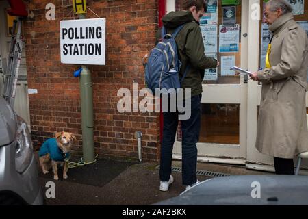 Oxford, Oxfordshire, UK. 12. Dezember, 2019. Allgemeine Wahl: Hunde in den Wahllokalen. Roxie, ein collie Kreuz wartet auf ihren Eigentümer ihre Stimme in Jericho, Oxford zu werfen. Dieses historische Dezember wahl bringt die Wähler am frühen Morgen regen. Kalte, feuchte Wetter durchquert das Land mit einigen Bereichen für Snow Forecast. Credit: Sidney Bruere/Alamy leben Nachrichten Stockfoto