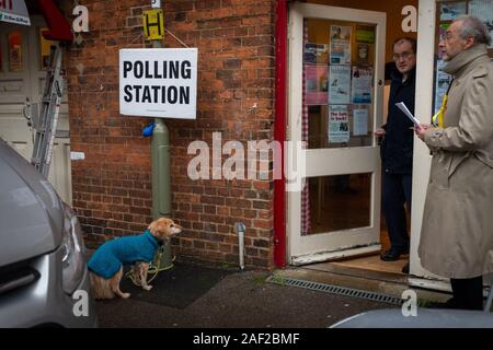 Oxford, Oxfordshire, UK. 12. Dezember, 2019. Allgemeine Wahl: Hunde in den Wahllokalen. Roxie, ein collie Kreuz wartet auf ihren Eigentümer ihre Stimme in Jericho, Oxford zu werfen. Dieses historische Dezember wahl bringt die Wähler am frühen Morgen regen. Kalte, feuchte Wetter durchquert das Land mit einigen Bereichen für Snow Forecast. Credit: Sidney Bruere/Alamy leben Nachrichten Stockfoto