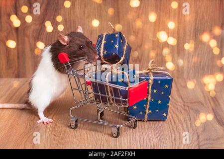 Niedliche Haustier Ratte mit einem Warenkorb mit einem Geschenke. Neues Jahr 2020. Weiße Ratte in der Nähe von Shopping Trolley mit Box von Geschenken. Ratte Symbol des Jahres Stockfoto