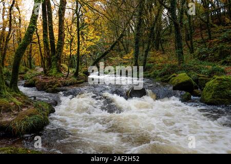 River Fowey an Golitha fällt in eine herbstliche Draynes Holz eine alten Wald in Cornwall. Stockfoto