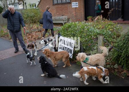 Haustier Hundebesitzer ihre verschiedene Rassen für eine Instagram Post auf dem Dulwich Village Insta feed, außerhalb von St. Barnabas Mehrzwecksaal in Dulwich Dorf im Süden Londoner Stadtteil Southwark, dient als Wahllokal für die britischen Wahlen 2 Wochen vor Weihnachten, am 12. Dezember 2019 in London, England. (Foto von Richard Baker/in Bildern über Getty Images) Stockfoto