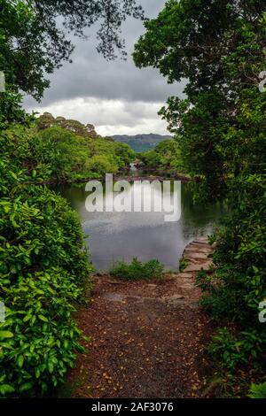 Bild eines Wasser Verbindungskanal obere Killarney Lake mit Muckross Lake in Killarney National Park.co.Kerry, Irland Stockfoto