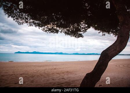 Leeren Strand am Meer. Baum vor dem Foto bearbeiten Platz Stockfoto