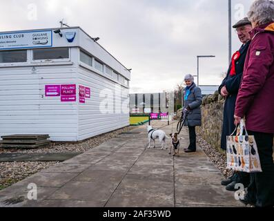 Gullane, Bowling Club, East Lothian, Schottland, Vereinigtes Königreich, 12. Dezember 2019. Britischen Wahlen: Aktivisten seiner Partei an der örtlichen Wahllokal. Hält eine Frau einen Hund an der Leine Stockfoto