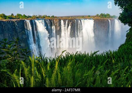 Victoria Falls, von David Livingstone im Jahr 1855 benannt nach Königin Victoria, der Wasserfall ist der Sambesi Fluss gebildet, in einen 100 Meter tiefen Ch Stockfoto
