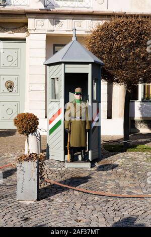 Palace Guard Wache, die Budaer Burg, die Winter in Budapest, Ungarn. Dezember 2019 Stockfoto