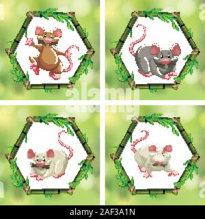 Vier verschiedene Ratten in Bambus frames Abbildung Stock Vektor