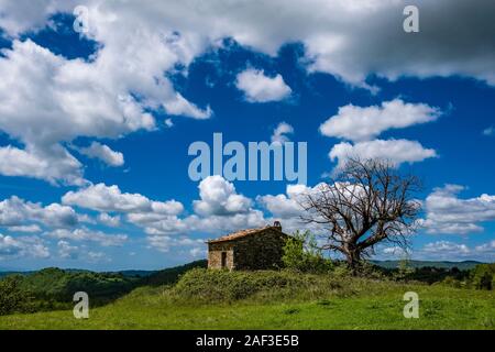 Einsame Bauern Haus mit einer Einsamkeit toten Baum auf einem Hügel, bewaldete Landschaft in der Ferne Stockfoto