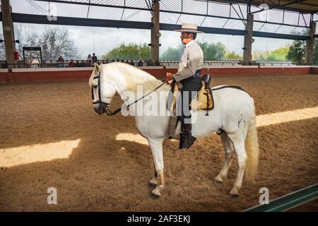 JEREZ, SPANIEN - ca. November 2019: Der Yeguada de la Cartuja Gestüt von Jerez de la Frontera in Andalusien, Spanien Stockfoto