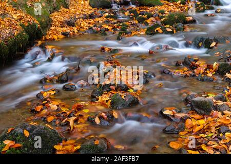 Wasserfall in Yedigoller Nationalpark, Stadt Bolu, Türkei Stockfoto