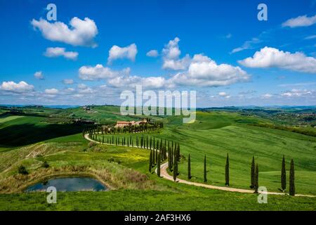 Eine gewundene Schotterpiste, flankiert von Cypress Alleen, vorbei an einem kleinen See, der zum Agriturismo Baccoleno Stockfoto