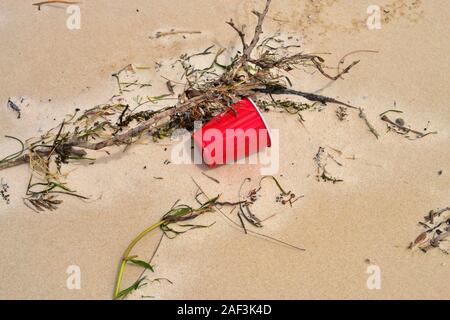 Rote Schale aus Kunststoff gewaschen oben am Strand, Bribie Island, Queensland, Australien Stockfoto