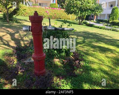 Vintage Red Fire Hydrant im Hotelgarten, für Sicherheit und Wasser im Falle eines Brandes. Rot auf Grün. Stockfoto