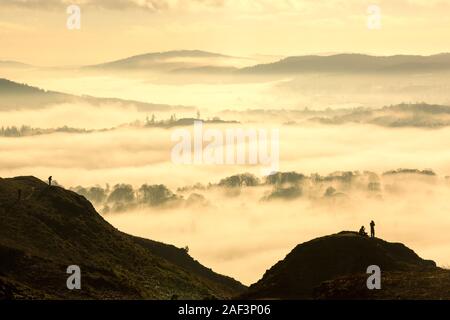 Mit Blick von oben in den Hawkshead Tal über Tal Nebel gebildet durch eine Temperaturinversion auf Loughrigg, in der Nähe von Ambleside im Lake District National Stockfoto